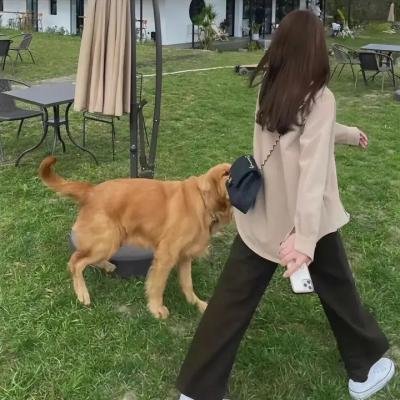 如珠如宝的人生 封面